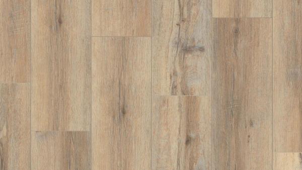 SPC плитка Timber Blackwood CARLO